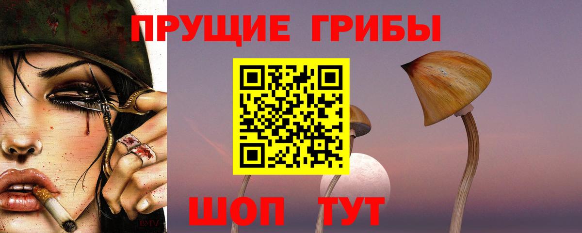 Псилоцибиновые грибы Psilocybine cubensis Котовск