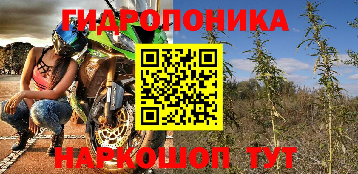 Шишки марихуана семена  Бошки марихуана Ganja  Вход с VPN  Котовск 